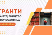 Підтримка фермерів та агропідприємств: гранти на будівництво овочесховищ