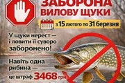Зміни правил риболовлі на водоймах Рівненщини