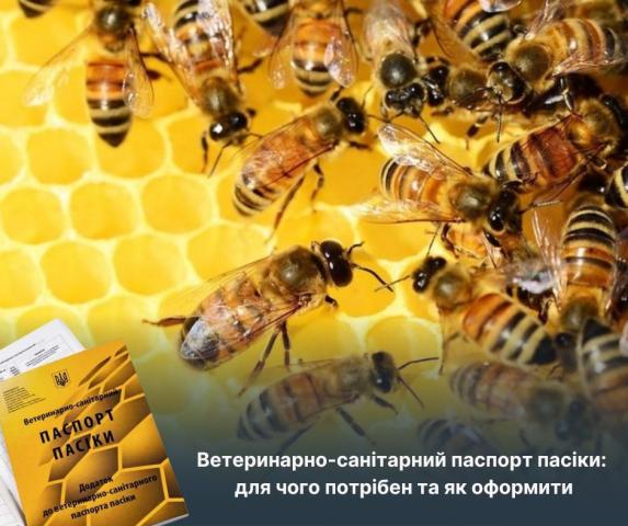Ветеринарно-санітарний паспорт пасіки: для чого потрібен та як оформити