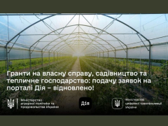 На порталі "Дія" відновлено можливість отримати гранти